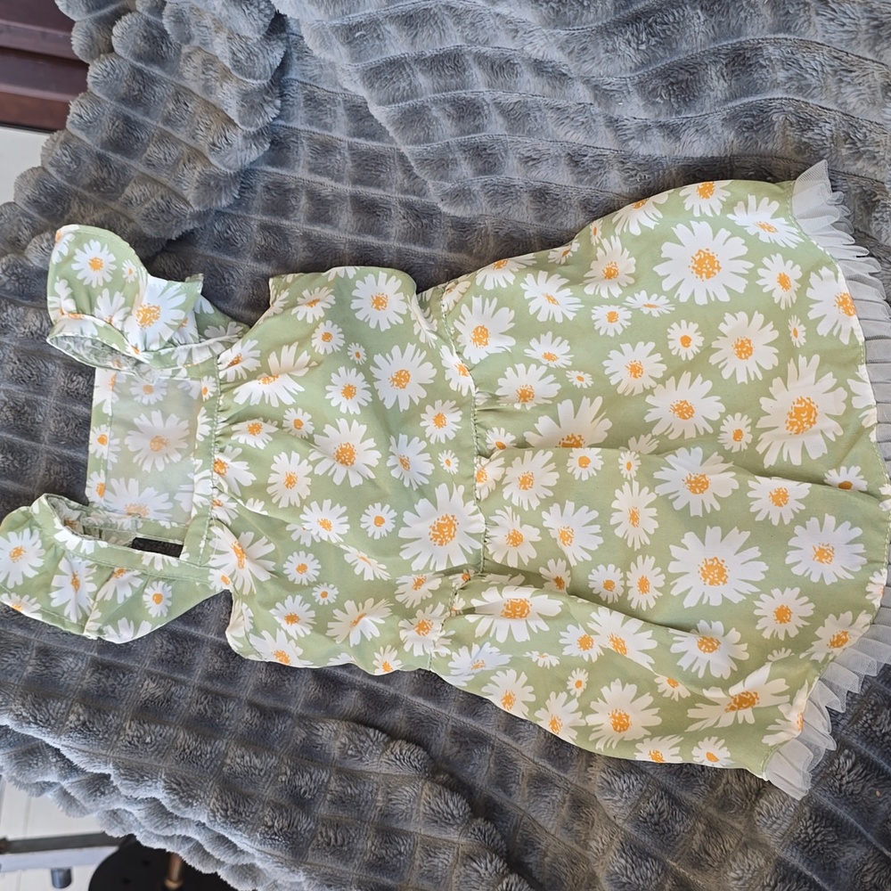 Pretty Dog Dress